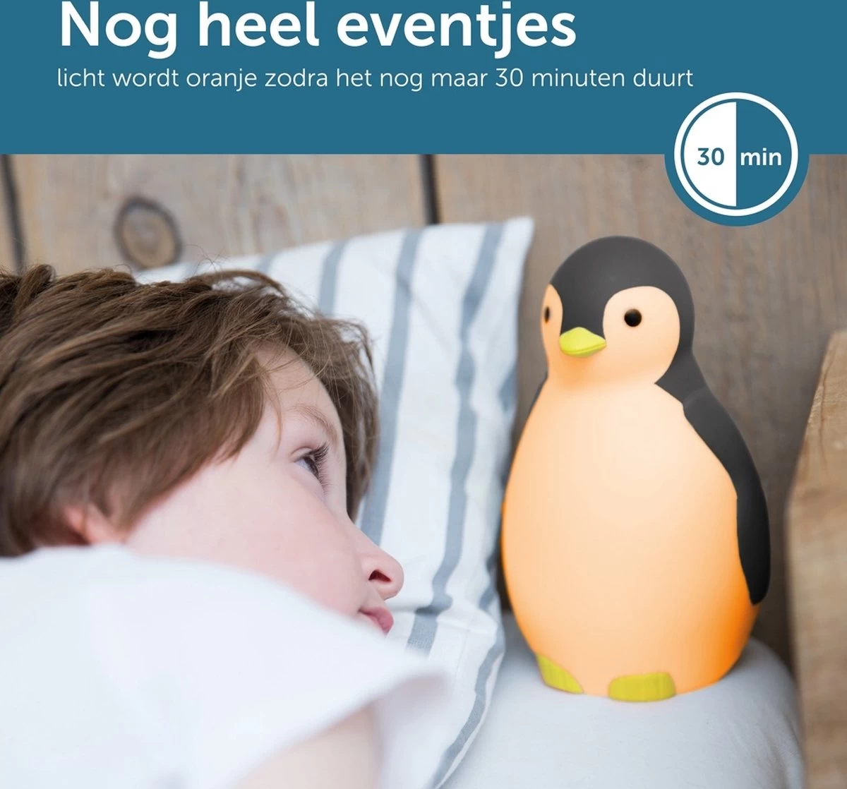 Zazu Pam Slaaptrainer - Met Bluetooth Speaker En Nachtlamp Functie - Wit / Grijs - Afbeelding 15