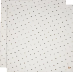 Jollein Hydrofiele Doek 115cm Rosehip 2pack