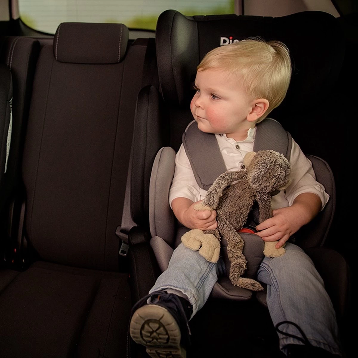 Ding Bas Autostoel - 9 Tot 36 Kg - Grijs - Autostoel Groep 1/2/3 - Afbeelding 7