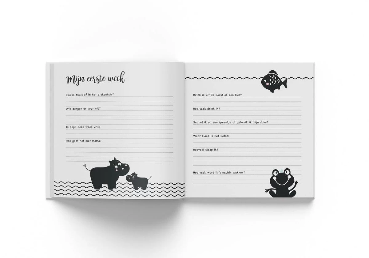Hello - Baby's Eerste Jaar - Afbeelding 3