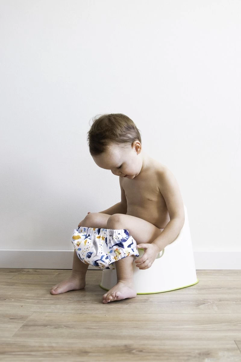 HappyBear - Oefenbroekje Circus | 2-4 Jaar - Onesize - Zindelijkheidstraining - Potjestraining - Afbeelding 3