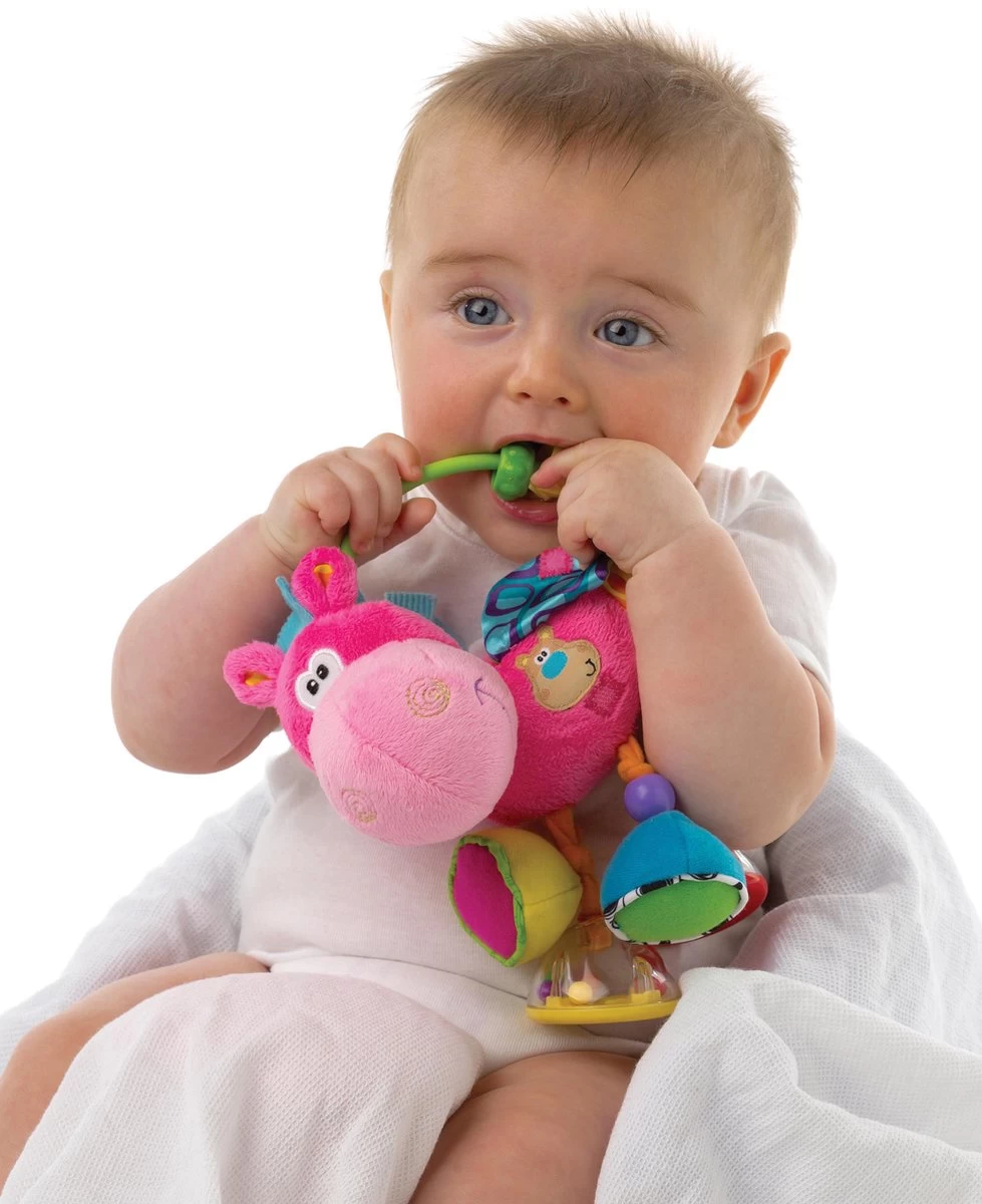 Playgro Clip Clop Rammelaar - Roze - Activiteitenspeeltje - Kraamkado - Afbeelding 17